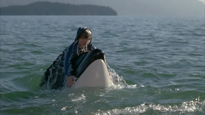 Free Willy 3