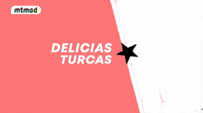TELENOVELAS TURCAS: NESLIHAN ATAGUL