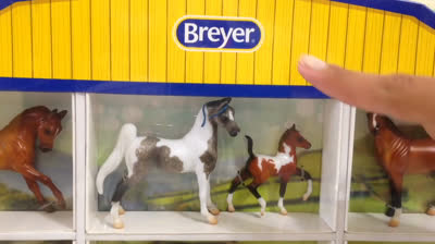 ¡Es hora de una fiesta a caballo única! Únete a los caballos en su fiesta de disfraces y disfruta de momentos llenos de diversión y moda en este encantador video para niños.