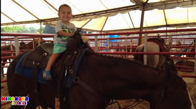 ¡Prepárate para emocionantes juegos a caballo en el picadero! Los niños disfrutarán de desafíos divertidos mientras nuestros caballos demuestran sus habilidades en este entretenido video.