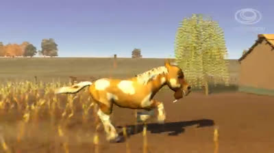 ¡Descubre el cuidado de los potrillos en este video educativo! Los niños aprenderán sobre la importancia de cuidar a los caballos jóvenes mientras exploran el mundo de la crianza equina.