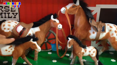 ¡Disfruta de un día de diversión acuática en la playa con nuestros caballos! En este video, los niños verán cómo los caballos pueden divertirse en el agua mientras exploran la costa.