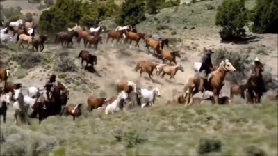 ¡Únete a una aventura exótica en el zoológico para conocer caballos de todo el mundo! Los niños aprenderán sobre diferentes razas y disfrutarán de un encuentro cercano con caballos especiales.